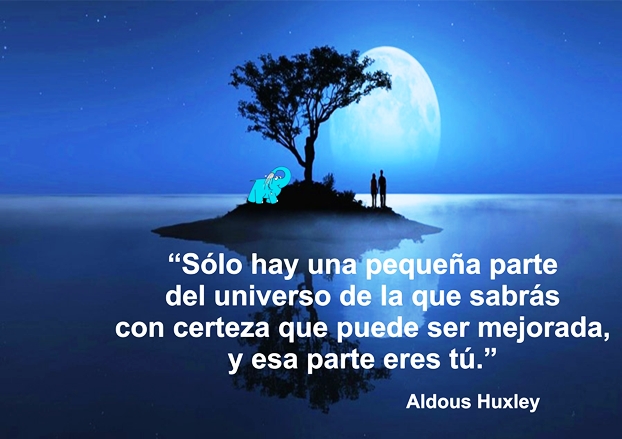 Solo hay una pequeña parte del universo de la que sabrás con certeza que puede ser mejorada, y esa parte eres tú.